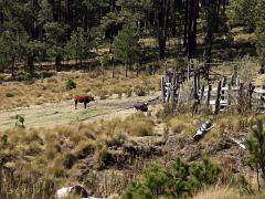 100214_Paso_de_Cortes 064